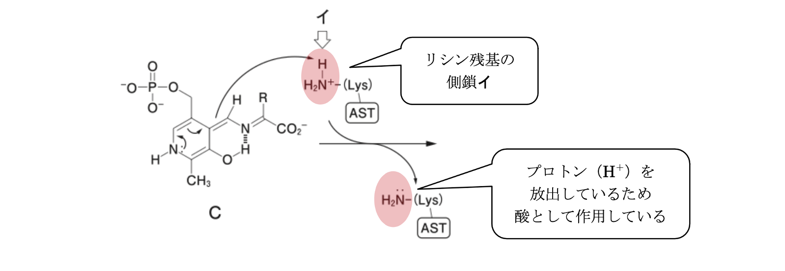 スクリーンショット 2026-07-01 16.31.00.png